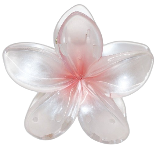 Hairclips